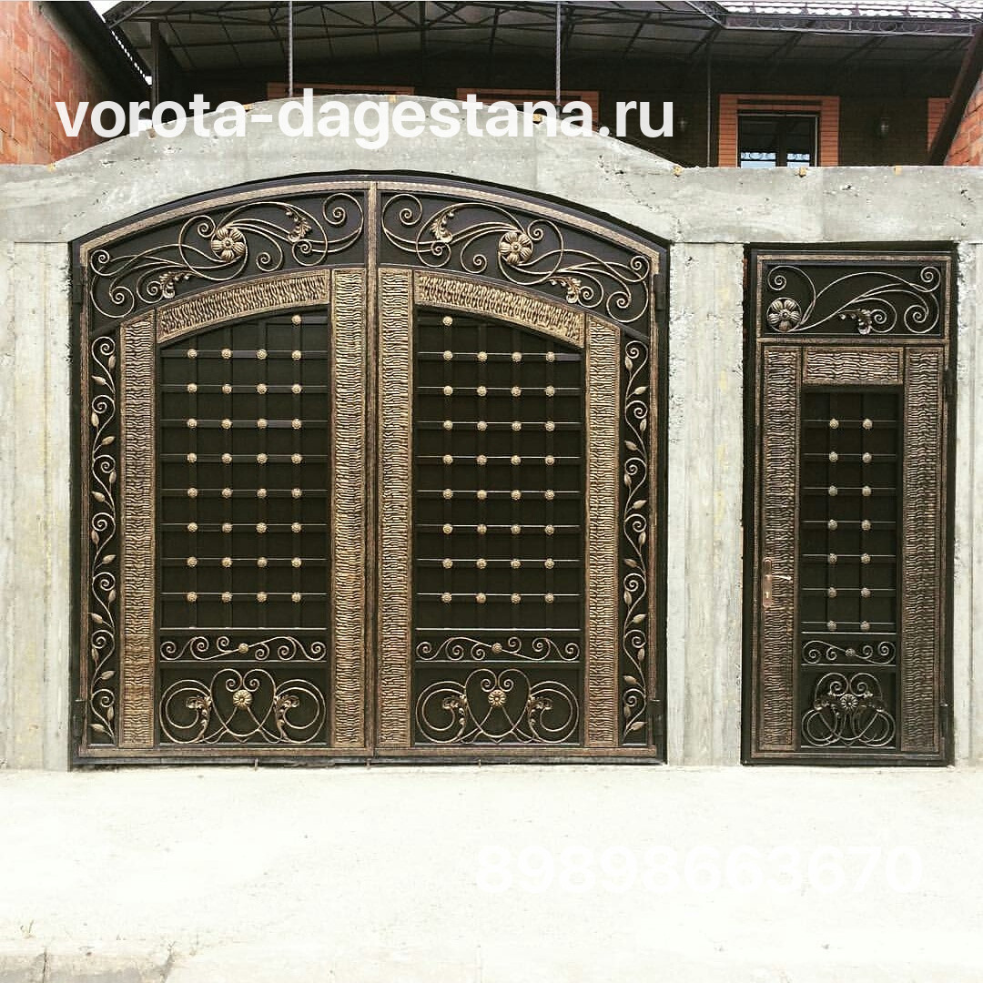 Ворота 254 №1 фото