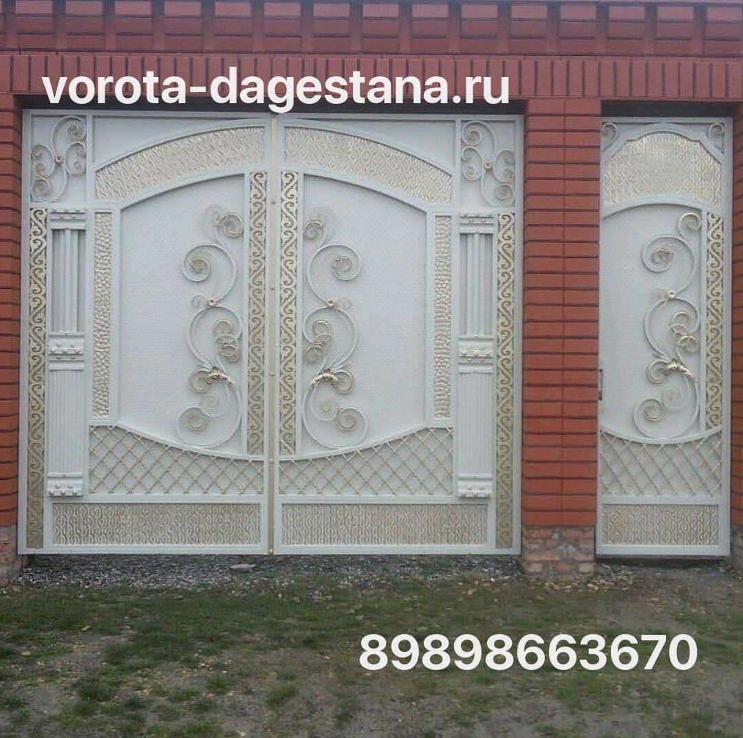 Ворота 290 №1 фото