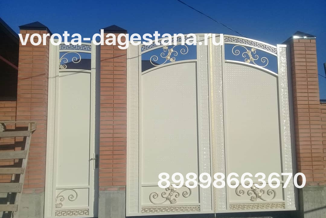 Ворота 699 №1 фото