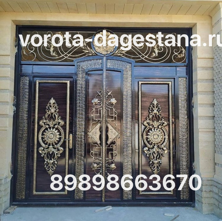 Ворота 737 №1 фото